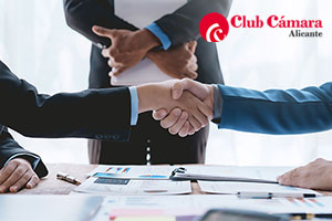 Descripción de la imagen