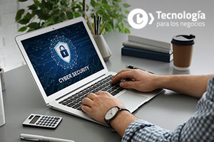 Descripción de la imagen